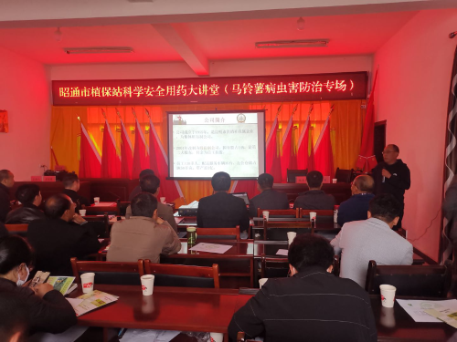 图片1