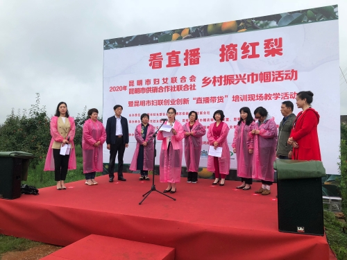活动启动仪式