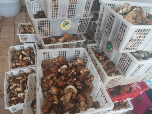 微信图片_20210107094852