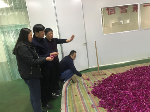 图片2