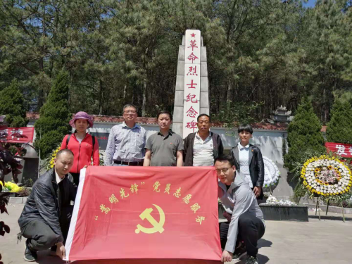 图片1