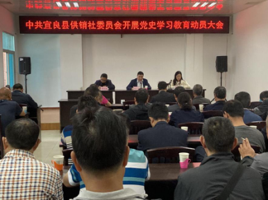 图片11