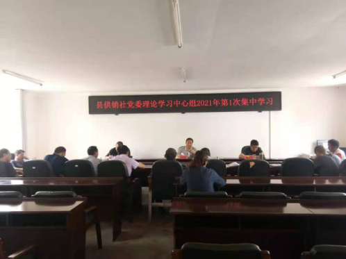 图片8