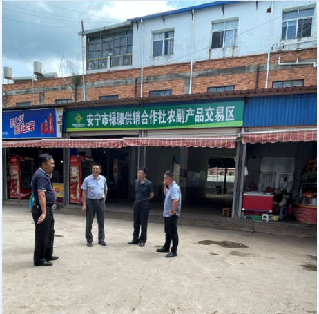 图片1