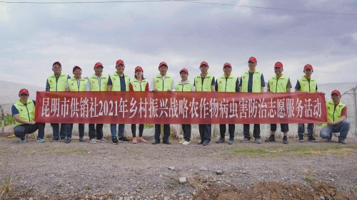 昆明市供销社开展2021年乡村振兴战略农作物病虫防治志愿者活动